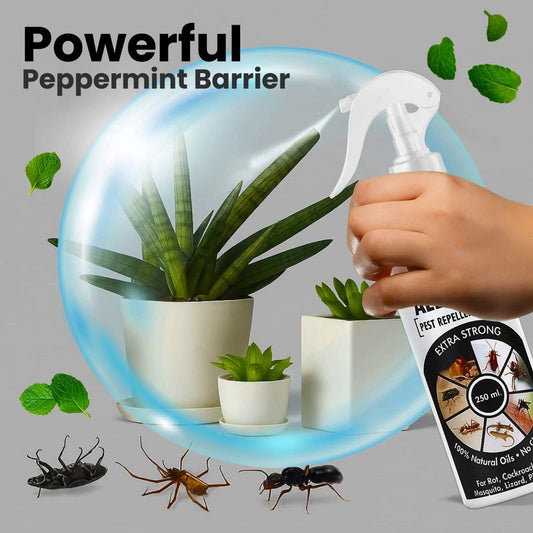 All-in-One Herbal Insect Repellent – Total Home Protection Against Roaches, Ants & Spiders (Chemical-Free)