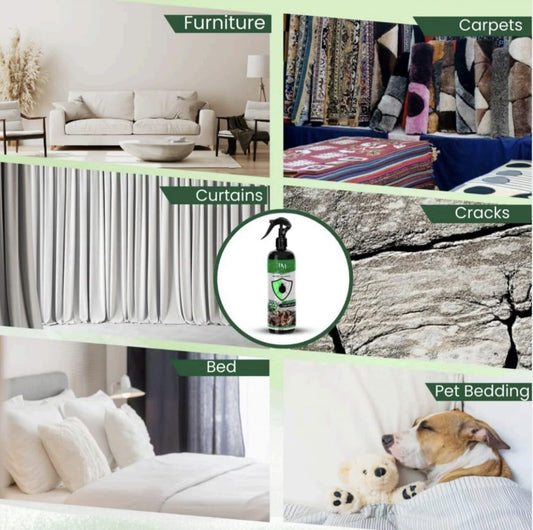 Bed Bug Spray, 100% Natural, 24x7 Shield Protection, 200ml